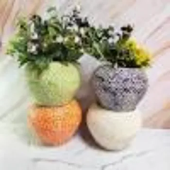 Decorative Plants